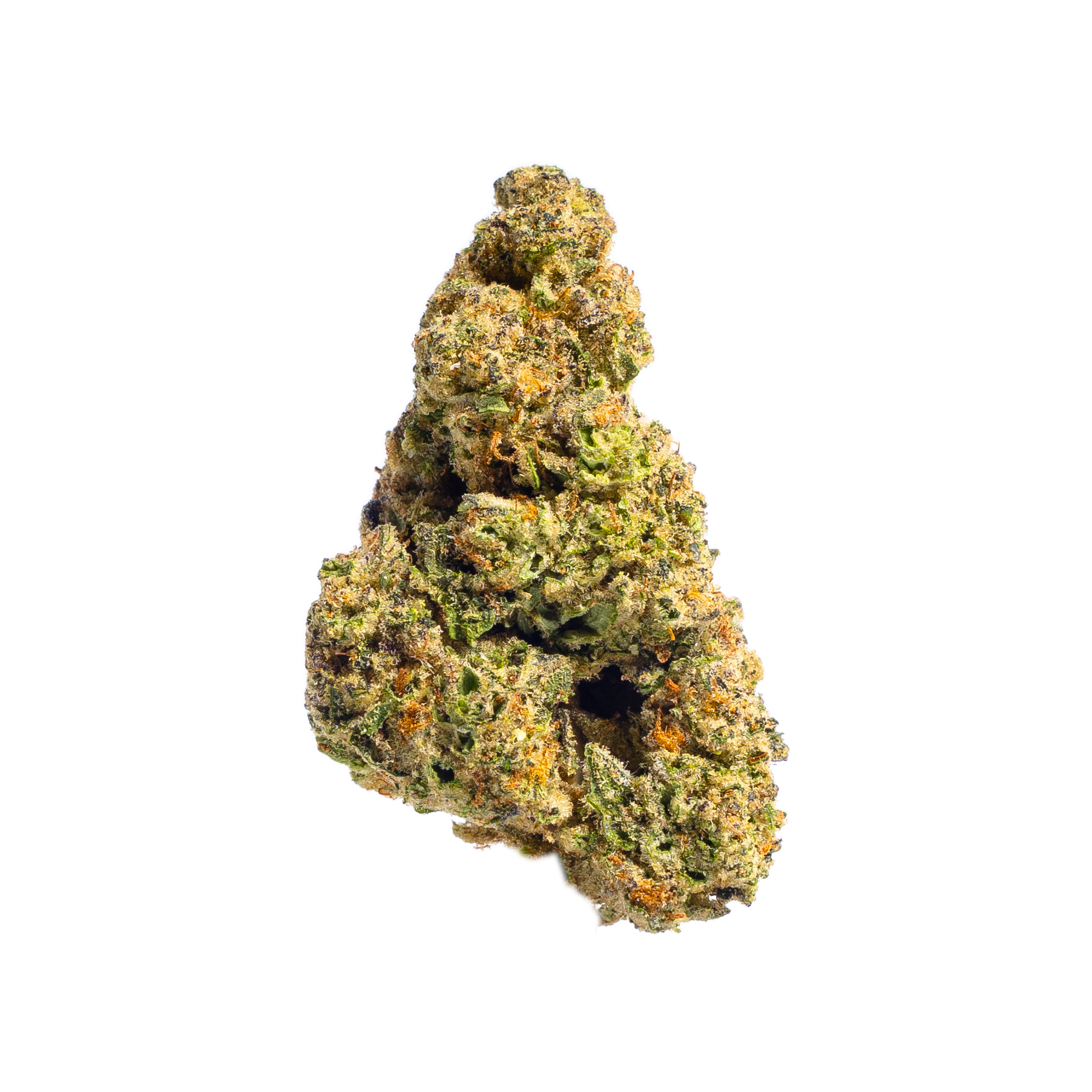 Super Mochi (Indoor) | Preston Herb Co